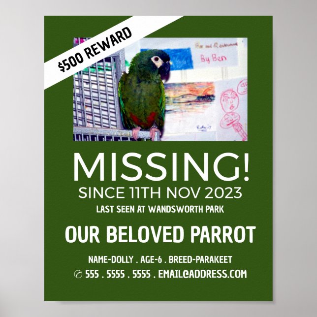 Personalized Photograph, Missing, Lost Pet Poster (Front)