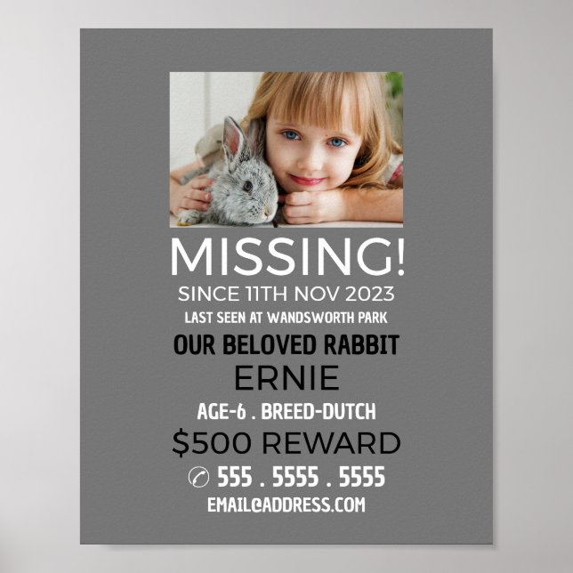 Personalized Photograph, Missing, Lost Pet Poster (Front)