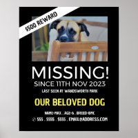 Personalized Photograph, Missing, Lost Pet