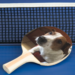 personalized ping pong paddle