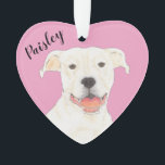 Personalized Pink Heart White Pitbull Staffy Ornament<br><div class="desc">I am in love with this beautifully detailed watercolor illustration of a white pitbull or staffy dog on a sweet pink heart! Personalize these pastel ornaments and make the nice list this year! For the perfect presents, pair it with a matching item from the collection for a thoughtful housewarming, bridal...</div>