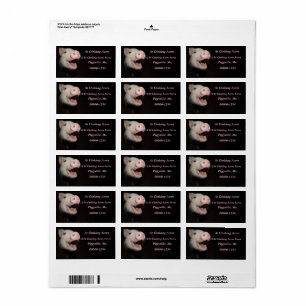Personalized Pink Mini Pig Address Labels