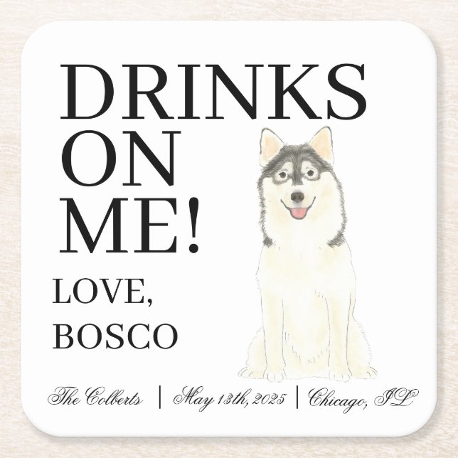 Personalized Pomsky Dog Wedding Square Paper Coaster (Front)