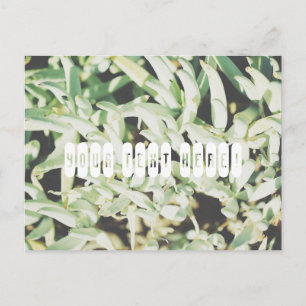 Personalized Postcard with funky pale green plants