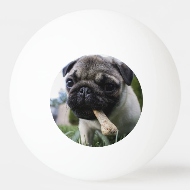 Personalized Pug Dog Photo and Name Ping Pong Ball (Front)