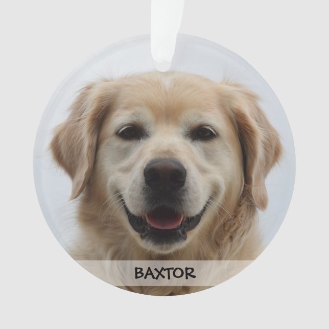 Personalized Puppy Dog Pet Photo Ornament (Front)