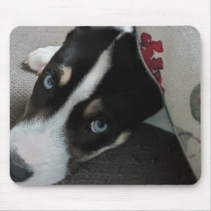 Personalized Puppy Photo  Mouse Pad