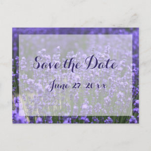 Personalized Purple Lavender Save The Dates Announcement Postcard