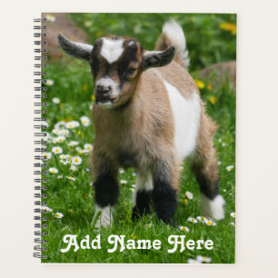 Personalized Pygmy Dwarf Goat Kid Planner