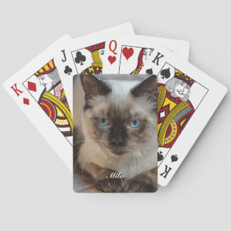 Personalized Ragdoll Cat Photo and Name Playing Cards