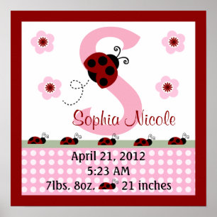 Personalized Red Ladybugs/Flower Birth Info Poster