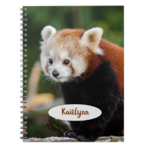 Personalized Red Panda