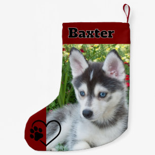 Personalized Red Pet Dog Photo Monogram Name Small Christmas Stocking