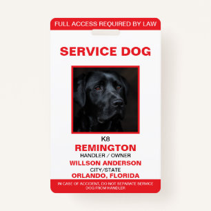 Personalized Red White Service Dog Photo ID Badge