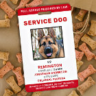 Personalized Red White Service Dog Photo ID Badge