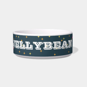 Personalized Retro Pet Bowl: Bright and Fun Bowl
