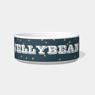 Personalized Retro Pet Bowl: Bright and Fun Bowl