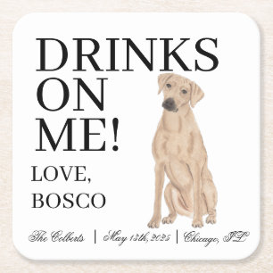 Personalized Rhodesian Ridgeback Dog Wedding Square Paper Coaster