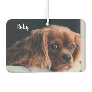 Personalized Ruby Cavalier King Charles Spaniel Air Freshener