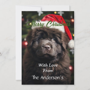 Personalized Santa Puppy Holiday Card
