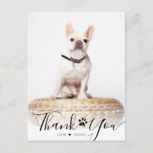Personalized Script Pet Memorial Photo Thank You Postcard