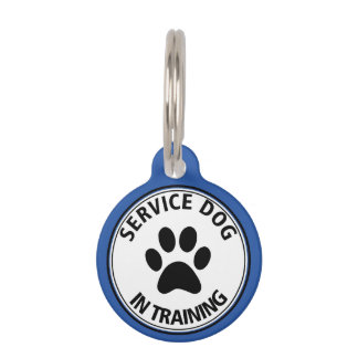Personalized Service Dog In Training Blue Pet Tag