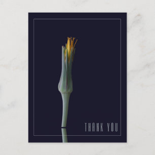 Personalized Simple Elegant Floral Black Thank You Postcard