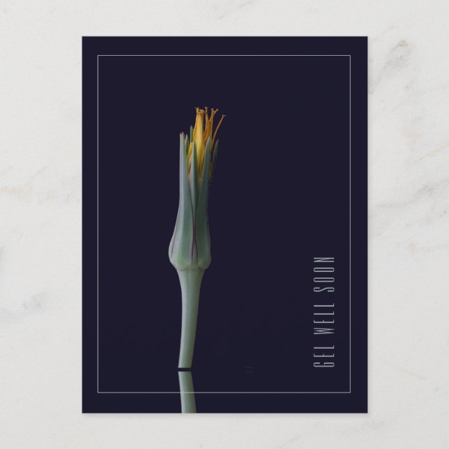 Personalized Simple Elegant Flower Get Well Soon Postcard (Front)