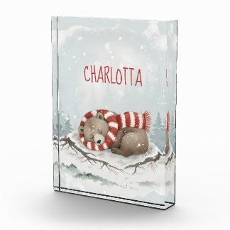 Personalized Sleeping Bear Photo Block, Custom Nam