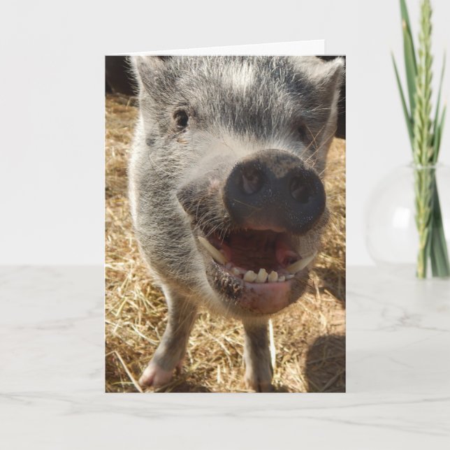 Personalized Smiling Mini Pig Greeting Card, Card (Front)