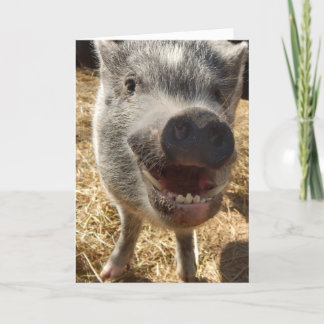 Personalized Smiling Mini Pig Greeting Card, Card