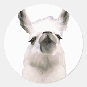 Personalized Snooty Snobby Llama Classic Round Sticker
