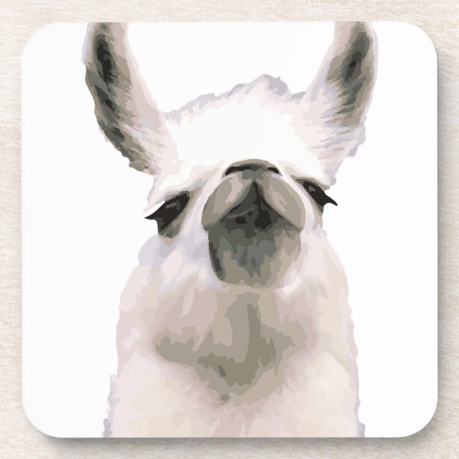 Personalized Snooty Snobby Llama Coaster (Front)
