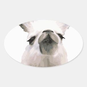 Personalized Snooty Snobby Llama Oval Sticker