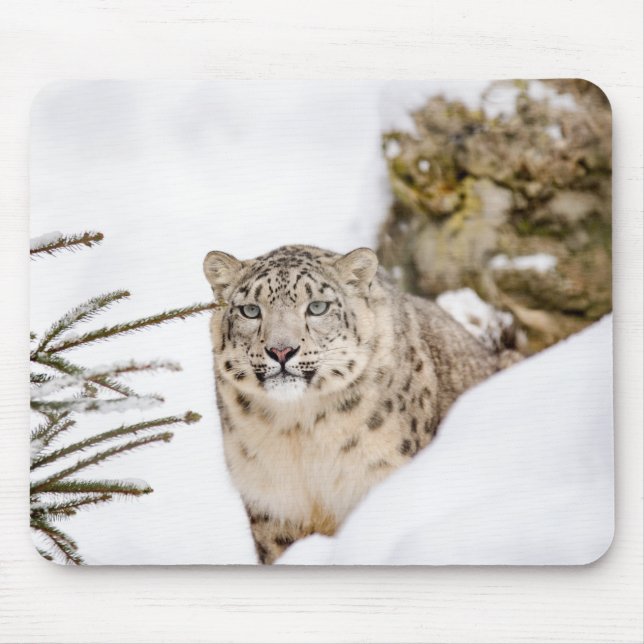 Personalized Snow Leopard Wild Animal Mouse Pad (Front)