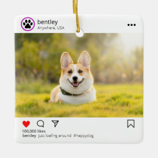 Personalized  social media post ornament