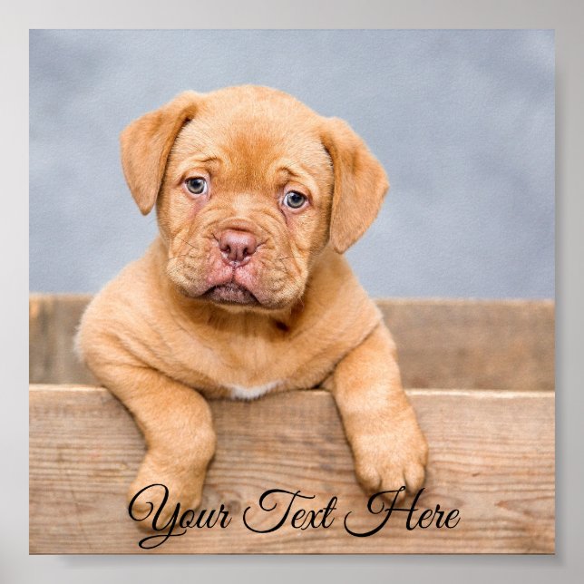 Personalized Square Poster Photo Print. (Front)