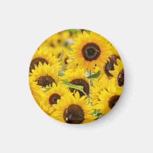 Personalized Sunflower Monogram Magnet