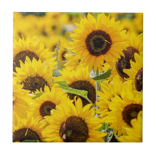 Personalized Sunflower Monogram  Tile (Front)