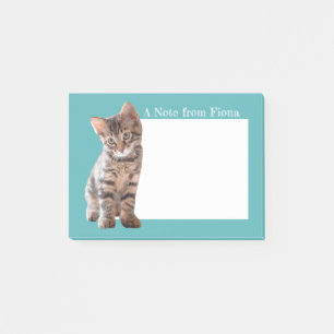 Personalized Tabby Cat Kitten Photo Illustrated Post-it Notes