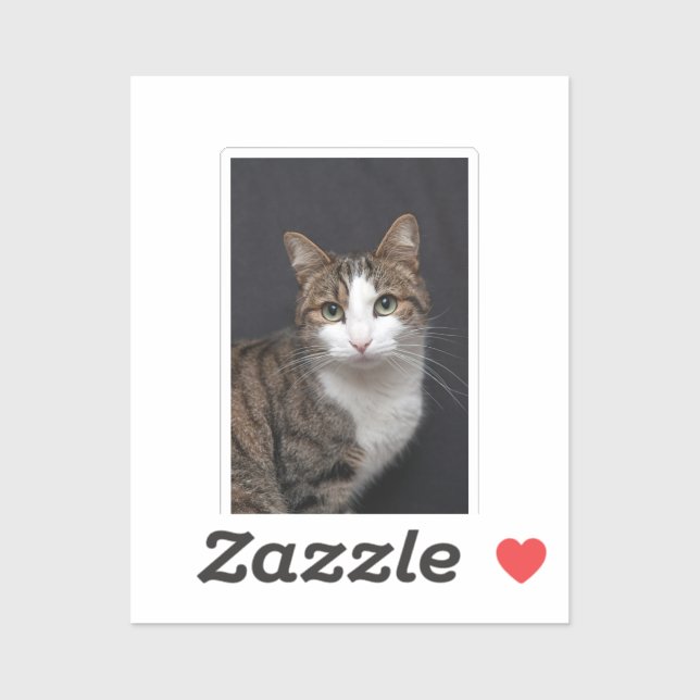 Personalized Tabby Cat Single Pet Photo  (Sheet)