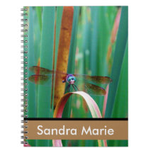 Personalized Teal Eyed Dragonfly cattails