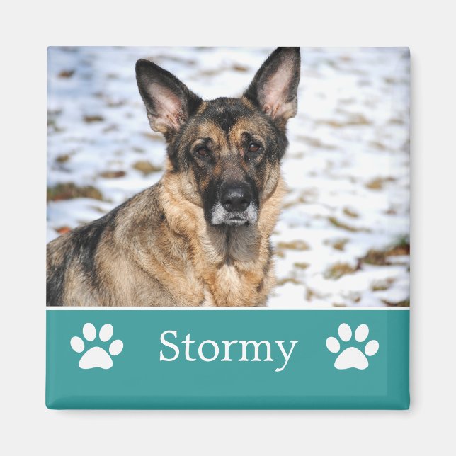 Personalized Teal Pet Photo Magnet (Front)