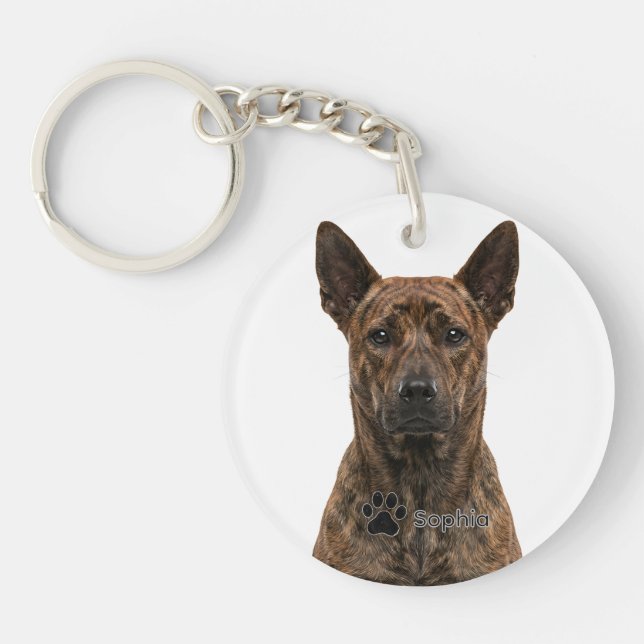 Personalized Thai Ridgeback Brindle Dog Keychains (Front)
