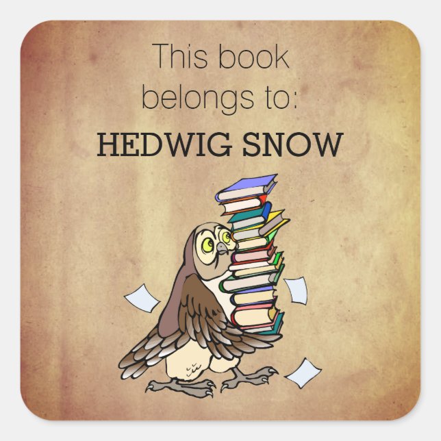 Personalized This Book Belongs to Owl Bookplate Square Sticker (Front)