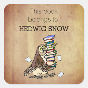 Personalized This Book Belongs to Owl Bookplate Square Sticker