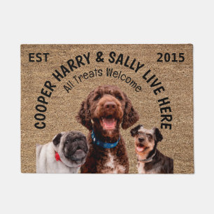  Personalized Three Dogs  Doormat