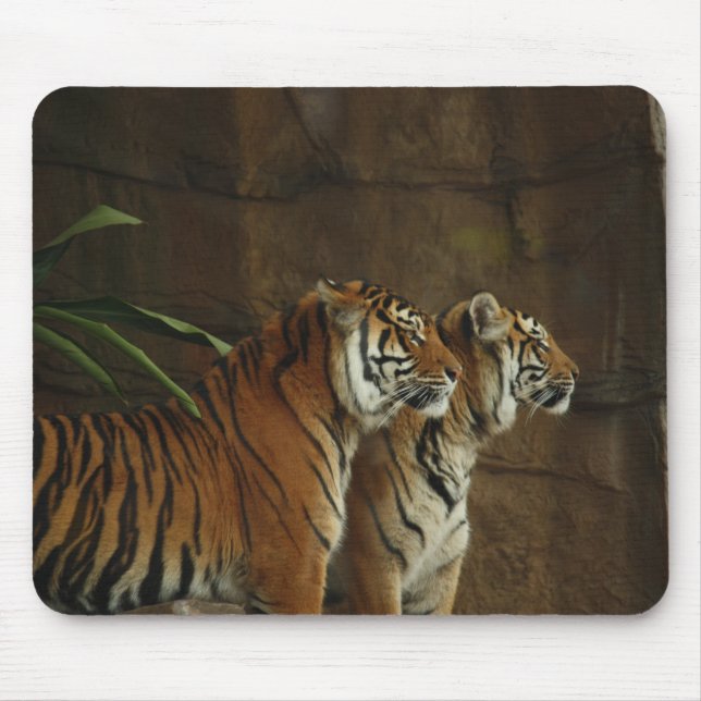 Personalized Tiger Wild Animal Mouse Pad (Front)