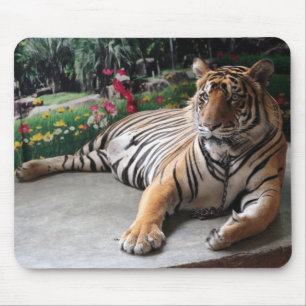 Personalized Tiger Wild Animal Mouse Pad