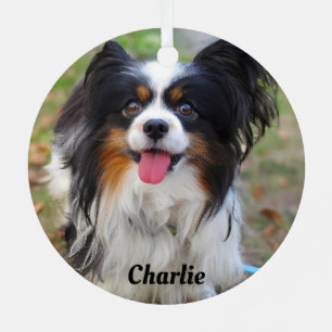 Personalized Tri Colour Papillon Puppy Dog Metal Ornament